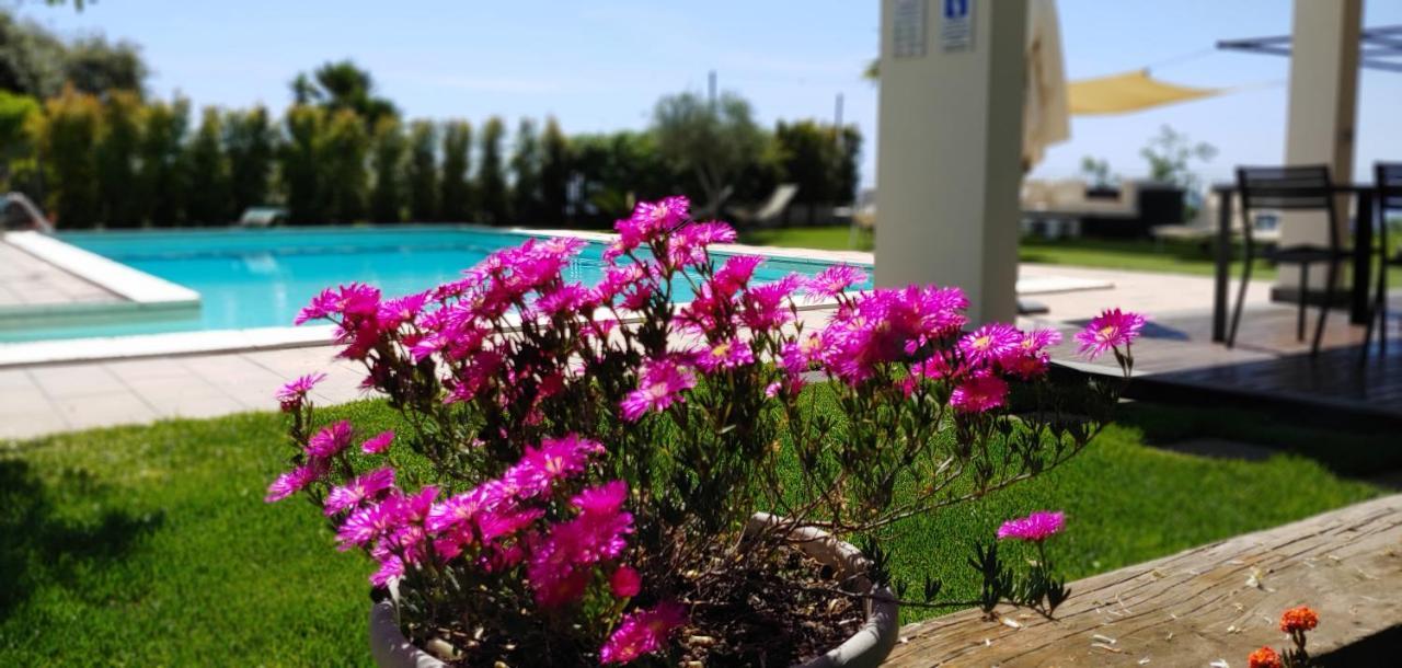 Etna Bike Holiday Zafferana Etnea Ngoại thất bức ảnh
