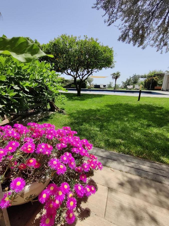 Etna Bike Holiday Zafferana Etnea Ngoại thất bức ảnh