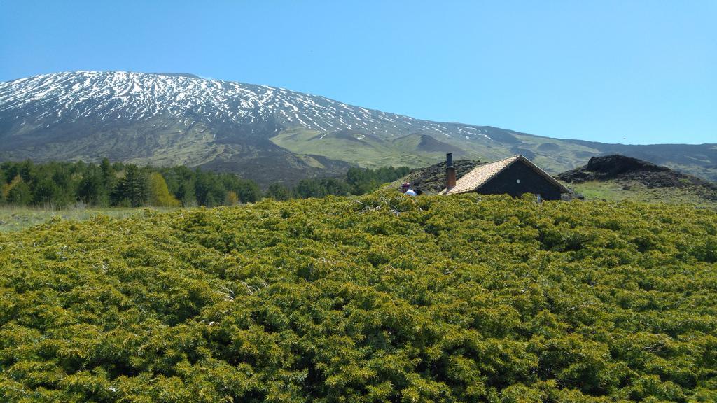Etna Bike Holiday Zafferana Etnea Ngoại thất bức ảnh