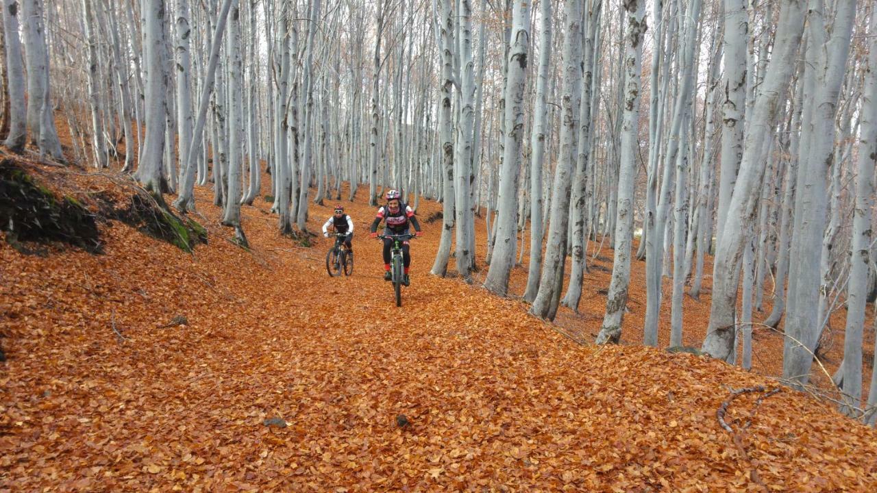 Etna Bike Holiday Zafferana Etnea Ngoại thất bức ảnh