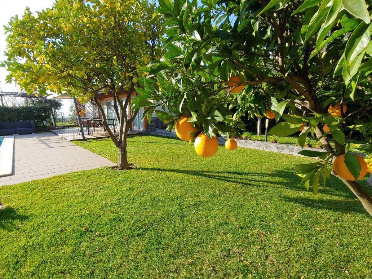 Etna Bike Holiday Zafferana Etnea Ngoại thất bức ảnh